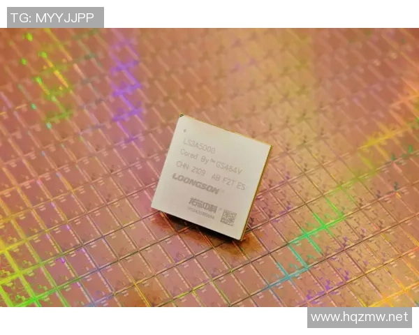 HMCL更新305版本正式支持陶瓦联机在龙芯平台上的应用与发展 HMCL更新305版本正式支持陶瓦联机在龙芯平台上的应用与发展